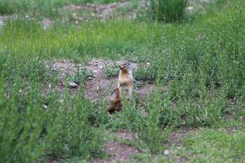 Image IMG_6398.jpg