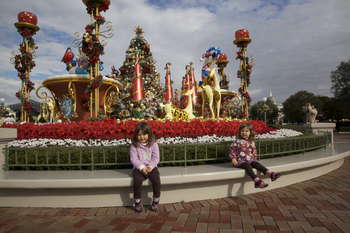 Image 2009-11-17-5d2-8748.jpg