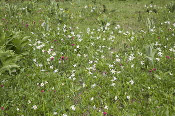 Image 2010-07-31-5d2-2784.jpg